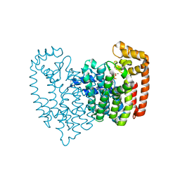 BU of 4qpf by Molmil