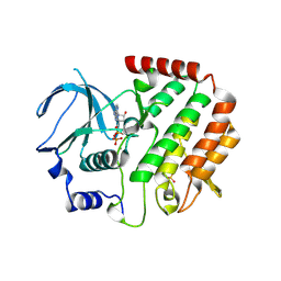 BU of 4qpm by Molmil