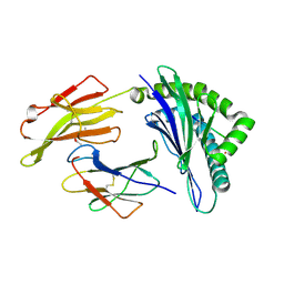 BU of 4qrs by Molmil