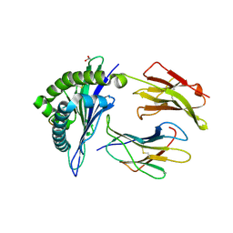 BU of 4qrt by Molmil