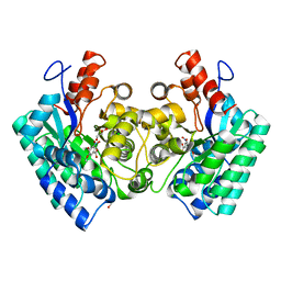 BU of 4qs6 by Molmil