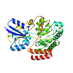 BU of 4qsd by Molmil