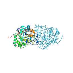 BU of 4qsf by Molmil