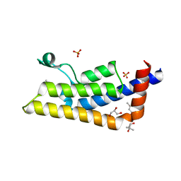 BU of 4qsr by Molmil