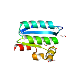 BU of 4qtp by Molmil