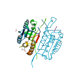 BU of 4qtx by Molmil