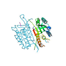 BU of 4qu0 by Molmil