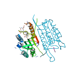 BU of 4qu9 by Molmil