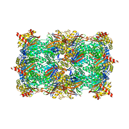 BU of 4qv1 by Molmil