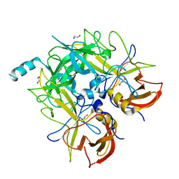 BU of 4qv2 by Molmil