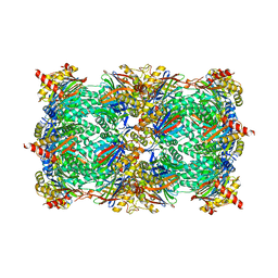 BU of 4qv4 by Molmil