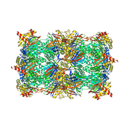 BU of 4qvm by Molmil