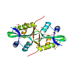 BU of 4qvt by Molmil