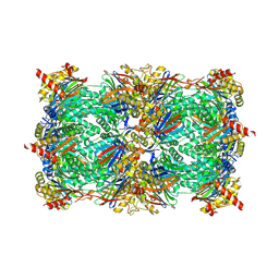 BU of 4qw1 by Molmil