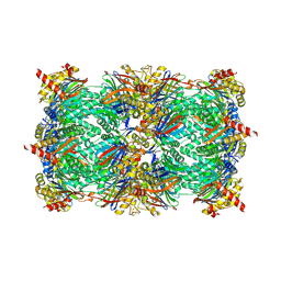 BU of 4qwx by Molmil