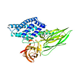 BU of 4qx2 by Molmil