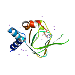 BU of 4qx5 by Molmil