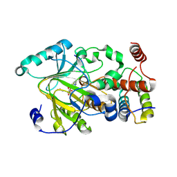 BU of 4qx8 by Molmil