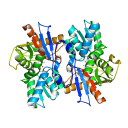 AU of 4r2v by Molmil