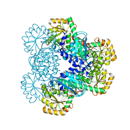 AU of 4r3x by Molmil
