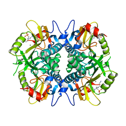 BU of 4ran by Molmil