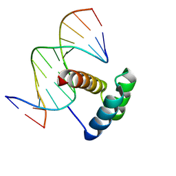 BU of 4rbo by Molmil