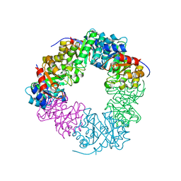 BU of 4rc1 by Molmil