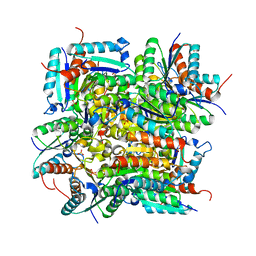 BU of 4rc9 by Molmil