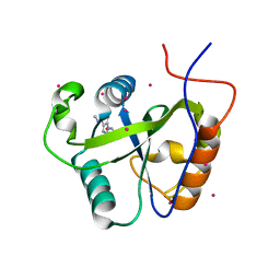 BU of 4rcm by Molmil