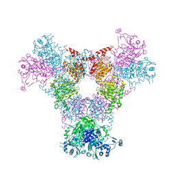 BU of 4rcn by Molmil