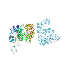 BU of 4rec by Molmil