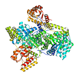 BU of 4req by Molmil