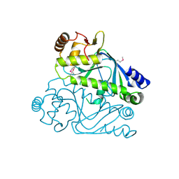 BU of 4rfa by Molmil