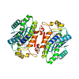 BU of 4rgb by Molmil