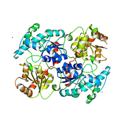 BU of 4rig by Molmil