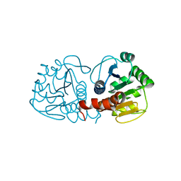 BU of 4rkw by Molmil