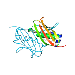 BU of 4rmm by Molmil