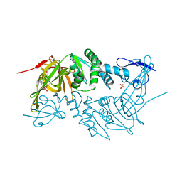 BU of 4rna by Molmil