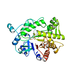 BU of 4rnv by Molmil