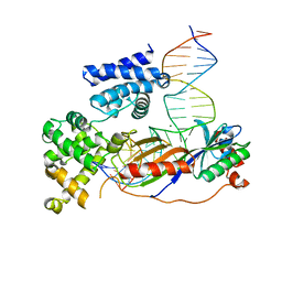 BU of 4roc by Molmil