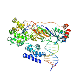 BU of 4rod by Molmil