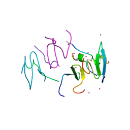 AU of 4roi by Molmil