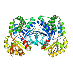 AU of 4rpa by Molmil