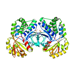 BU of 4rpa by Molmil