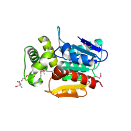 BU of 4rpc by Molmil