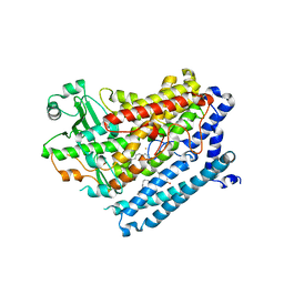 BU of 4rpe by Molmil