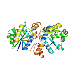 BU of 4rpi by Molmil