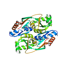 BU of 4rpn by Molmil