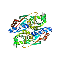 BU of 4rpo by Molmil