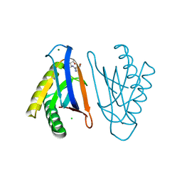 BU of 4rrm by Molmil